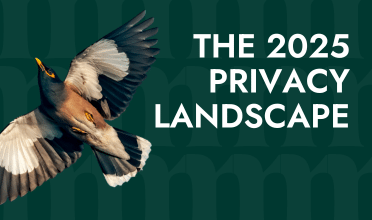 2025 Privacy Landscape