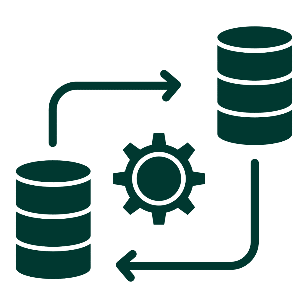 Data Mapping Icon