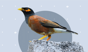 Cybersecurity Assessment